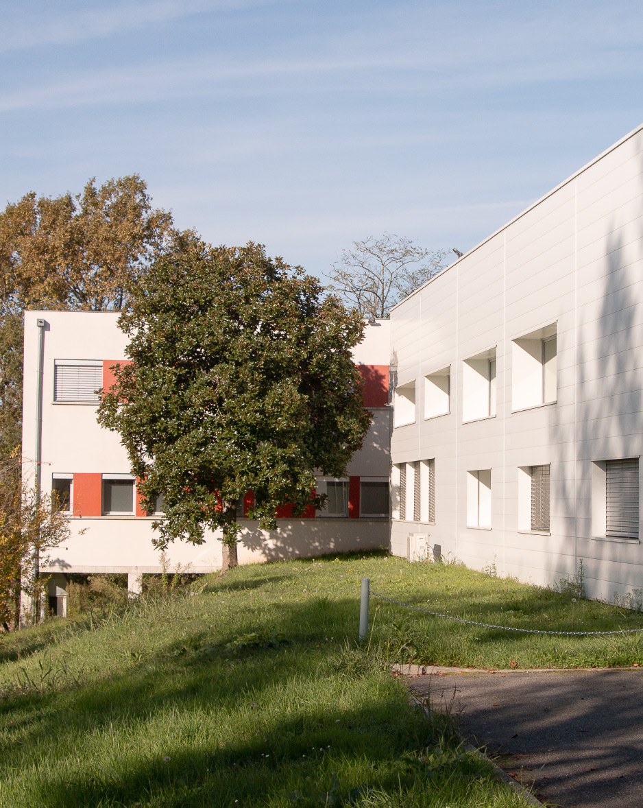 Image6-MSPLafrançaisain